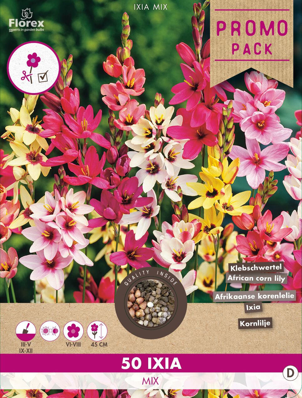 Florex Ixia Afrikaanse Korenlelie - Bloembollen