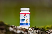 Sectolin Digest - Spijsvertering en darmflora Pre- en probiotica Hond en Kat - 100 Stuks