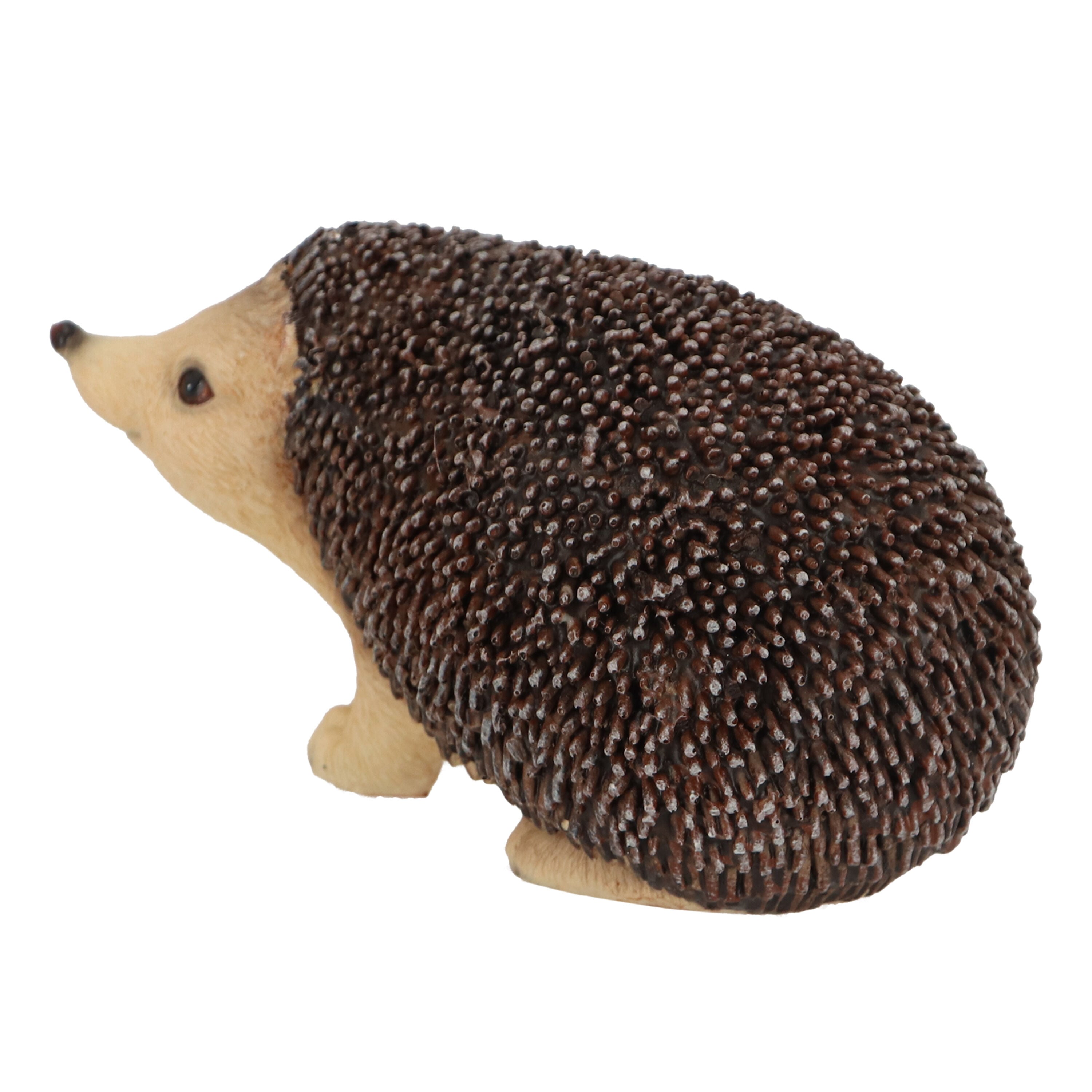 Decoratief Egel - Tuindecoratie - Multi
