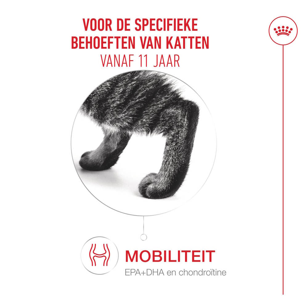 Royal Canin Ageing 11+ - Kattenvoer