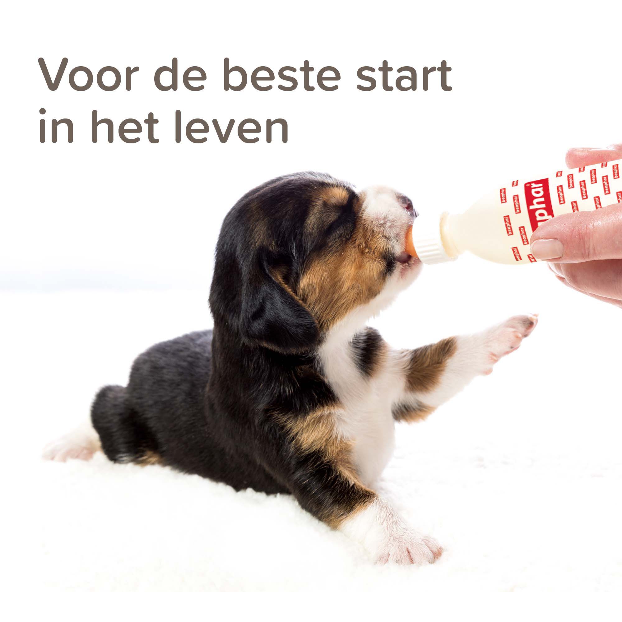 Beaphar Lactol - Puppy Milk - 250 Gram