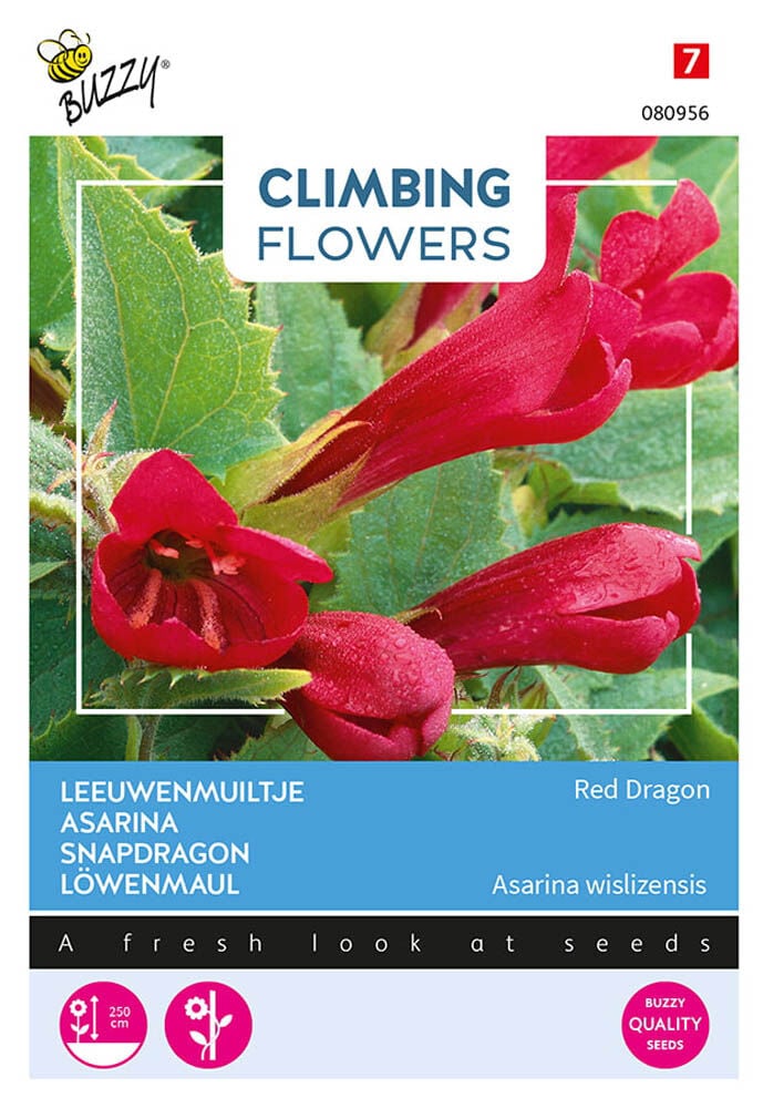 Buzzy Climbing Flowers Leeuwenmuiltje Red Dragon - Bloemzaden Buzzy Climbing Flowers Leeuwenmuiltje Red Dragon - Bloemzaden
