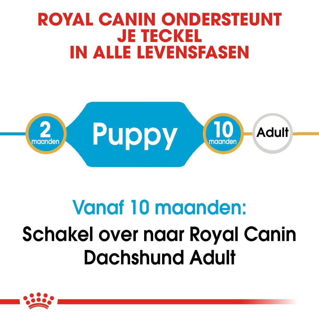 Royal Canin BHN Dachshund Puppy - Hondenvoer - 1500 Gram - gevogelte