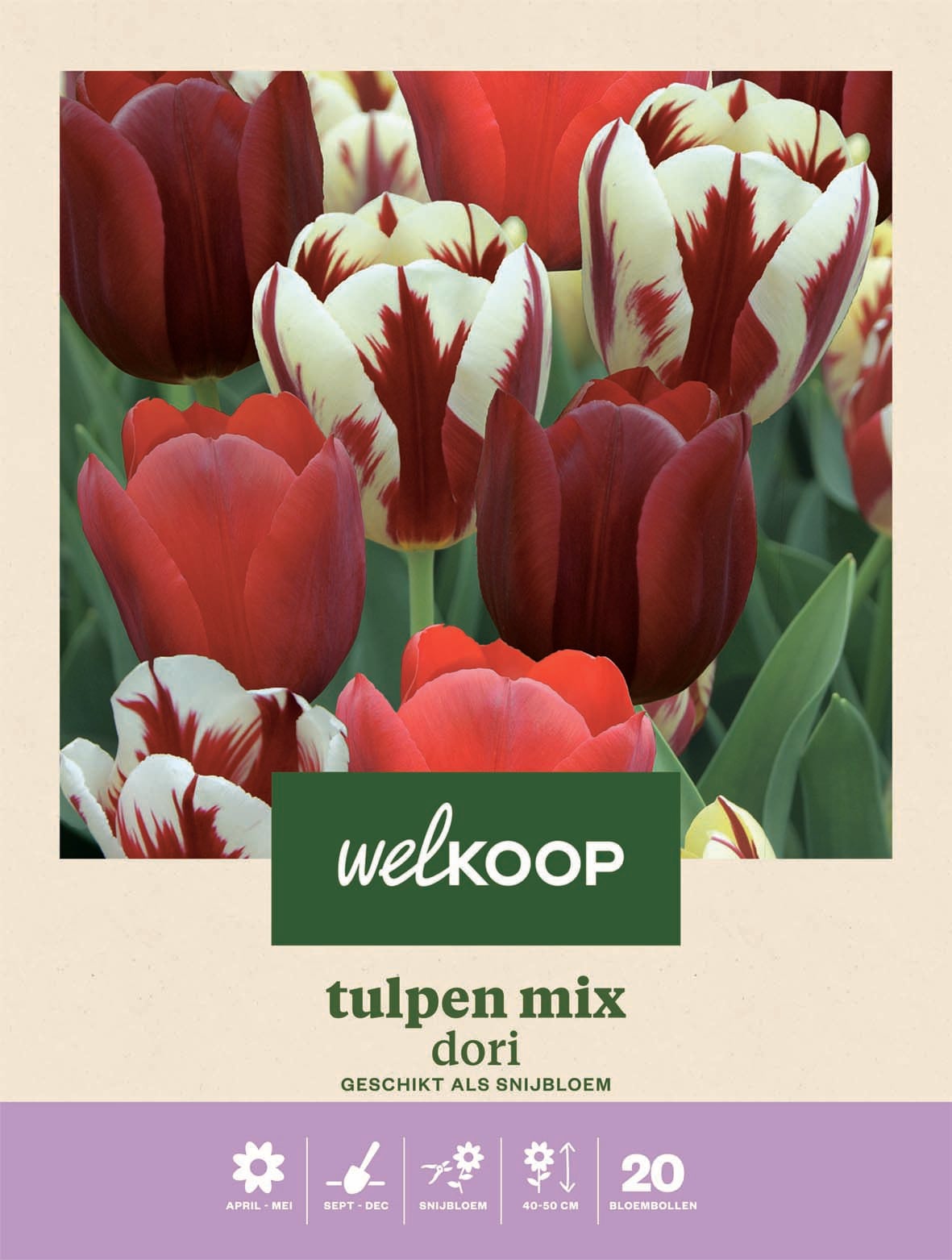 Welkoop Tulpen mix Dori - Bloembollen