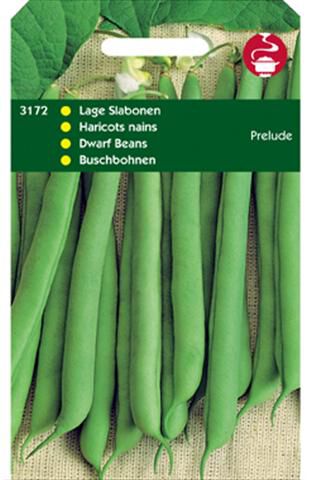 Hortitops Stamslabonen Phaseolus Vulgaris - Groentezaden - 100 Gram Hortitops Stamslabonen Phaseolus Vulgaris - Groentezaden - 100 Gram