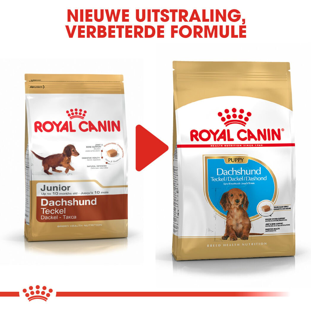 Royal Canin BHN Dachshund Puppy - Hondenvoer - 1500 Gram - gevogelte