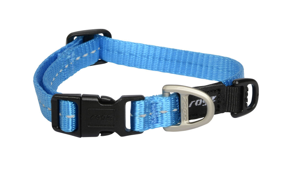 Rogz Utility - Halsband Hond - Turquoise - 20 tot 31 cm Rogz Utility - Halsband Hond - Turquoise - 20 tot 31 cm