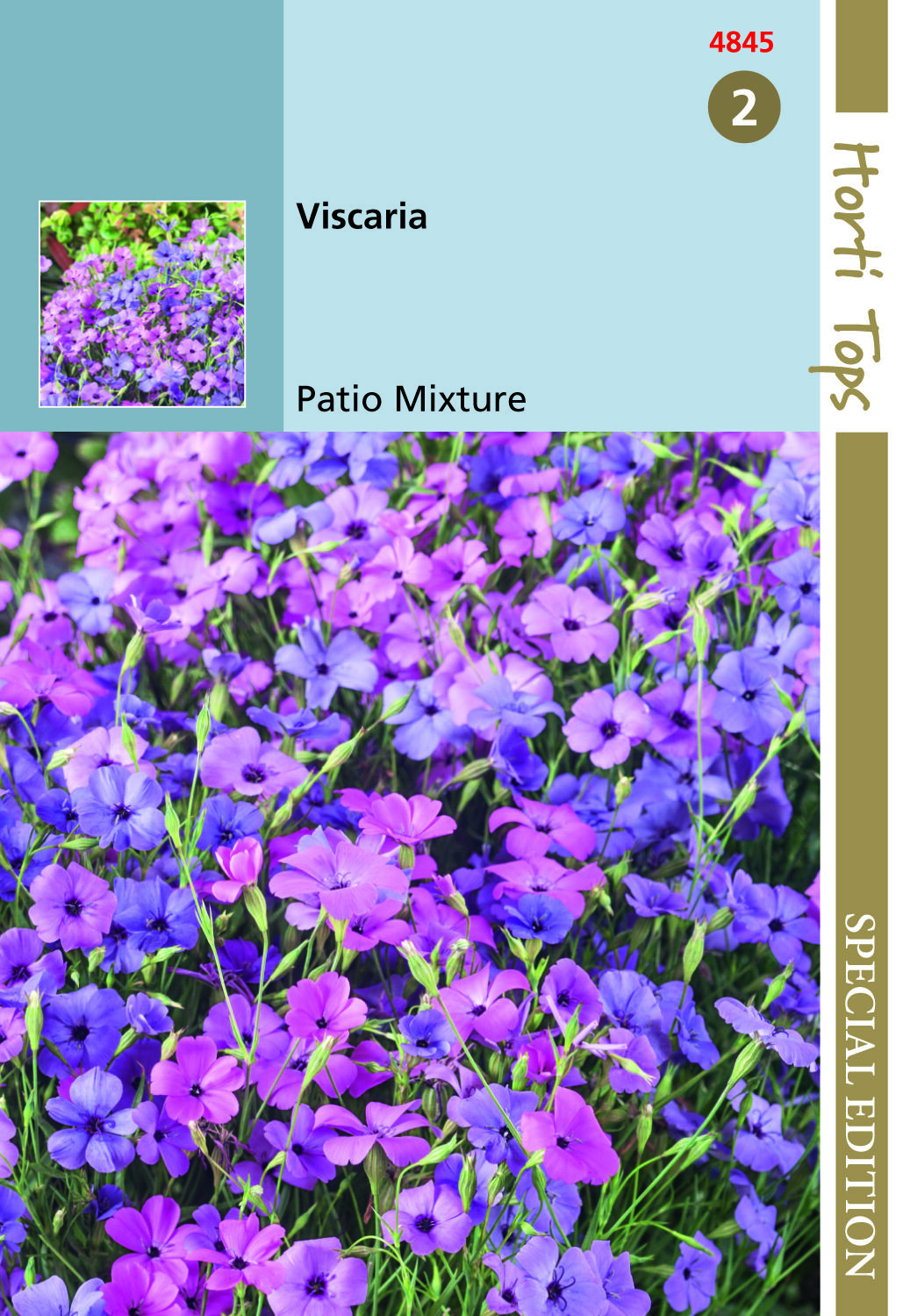 Hortitops Viscaria Patio mix Viscaria oculata - Bloemzaden