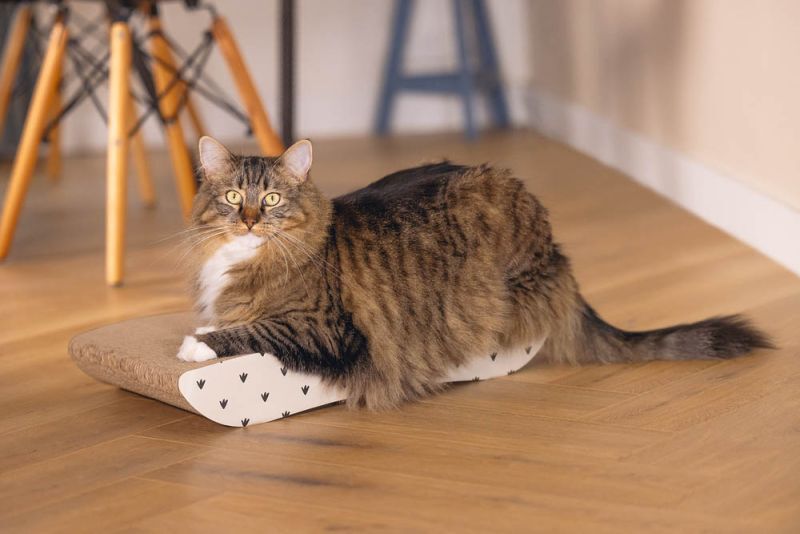 Beeztees Poezel - Krabplank - Beige - 8x50x49.7 cm