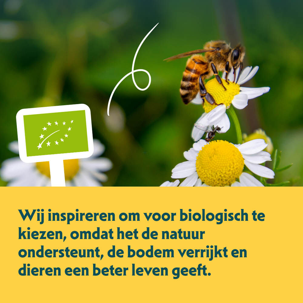 Yarrah Biologisch Graanvrij - Kattenvoer - 10 Kilogram - kip