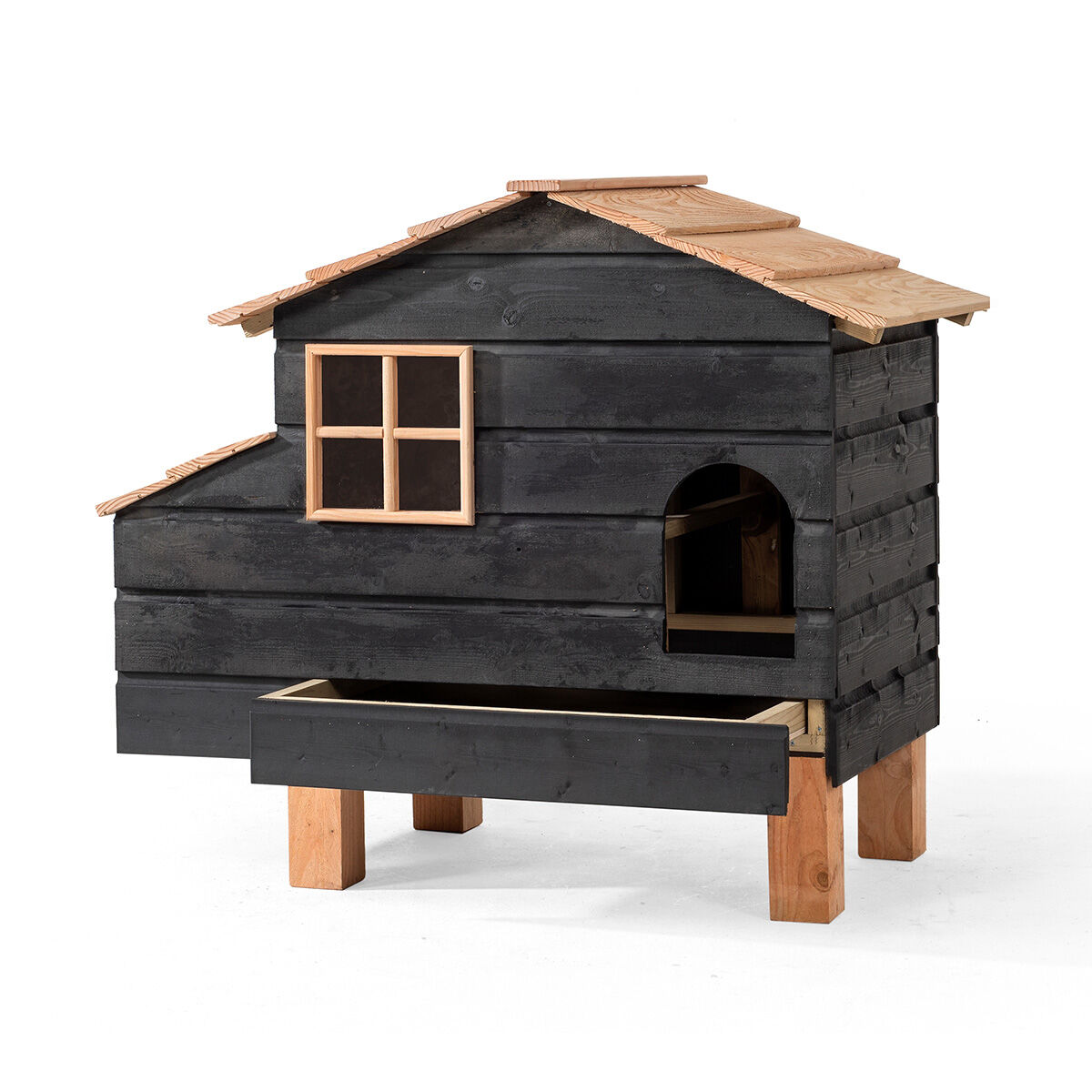 Glorenza  Harm - Kippenhok