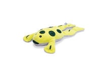 Beeztees Hide and Seek Kikker - Snuffelmat - Hondenspeelgoed - Multi - 7x20x31 cm