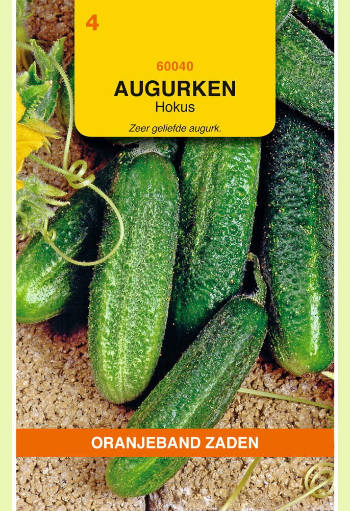 Oranjeband zaden Augurken Hokus - Groentezaden Oranjeband zaden Augurken Hokus - Groentezaden