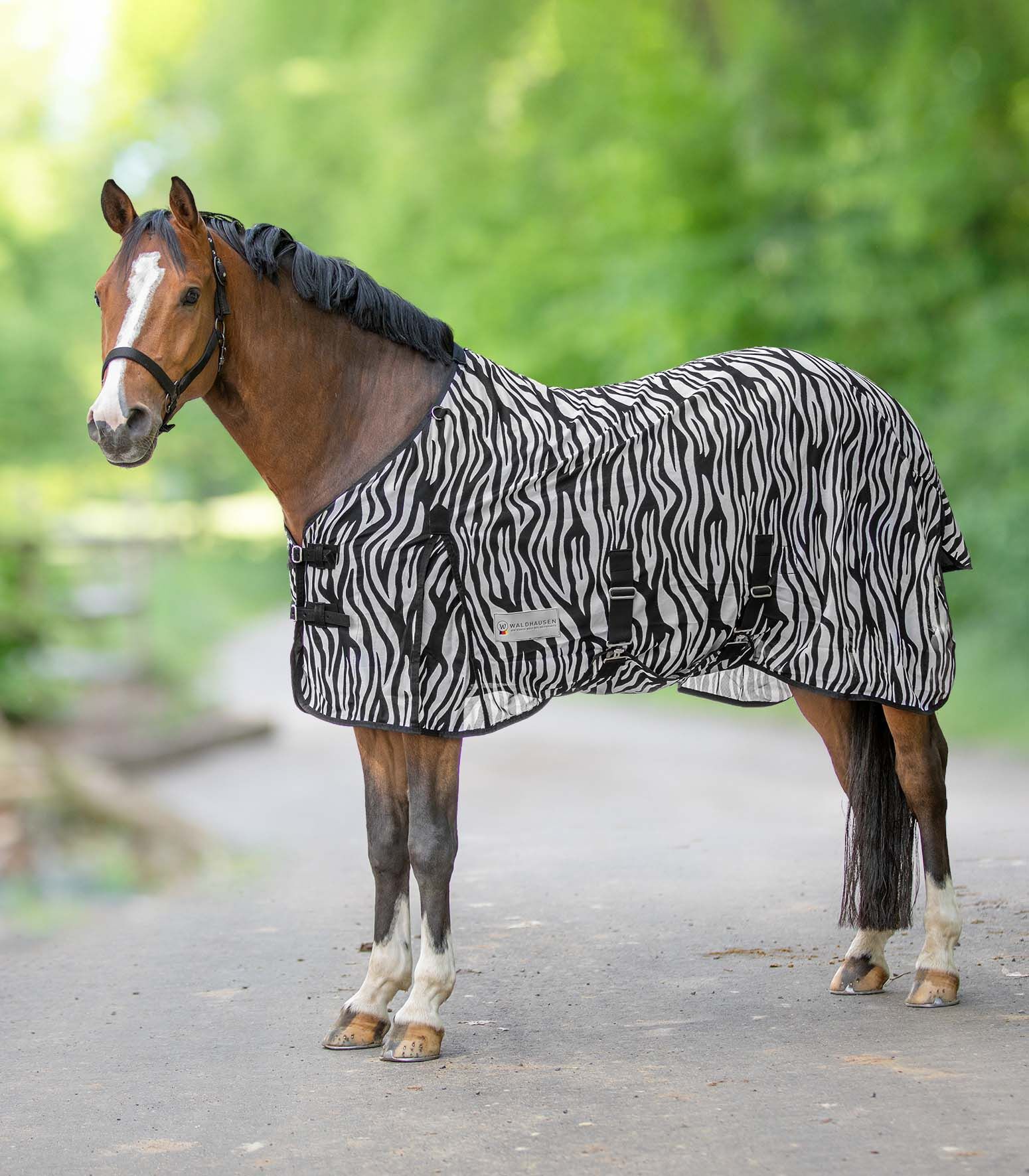Waldhausen Zebra - Vliegendeken Paard