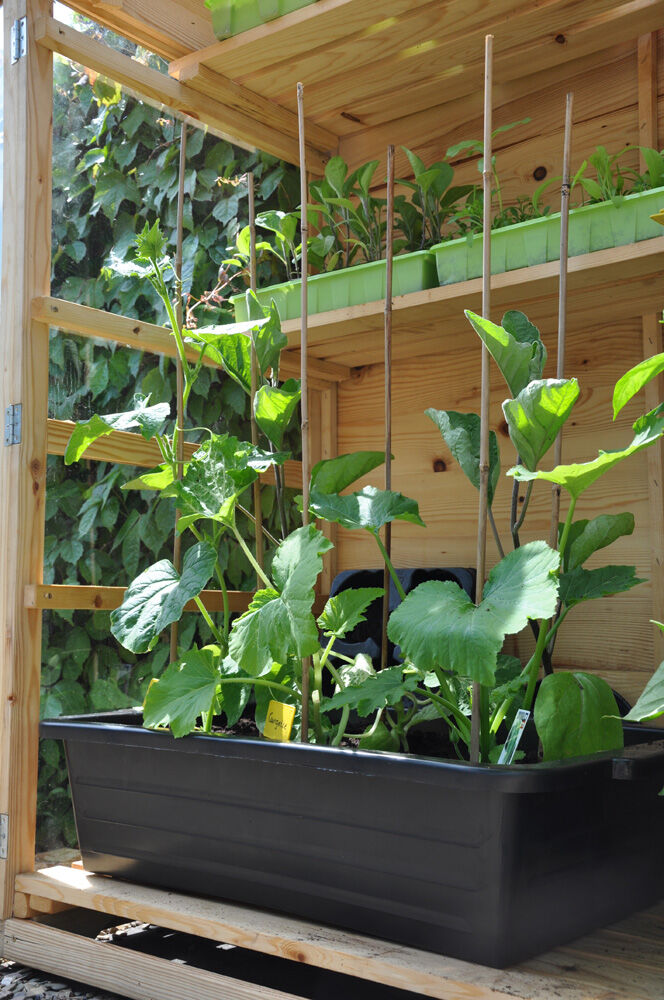 Royal Well Zaaikist 40L  - Kas accessoires