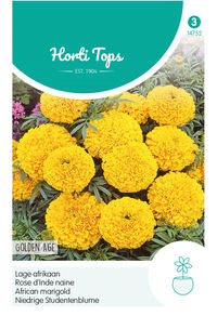 Hortitops Lage Afrikaan Golden Age - Bloemzaden
