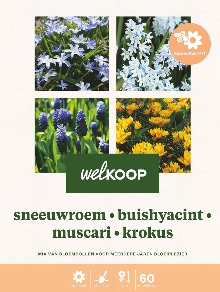 Welkoop Blauwe druifjes Hyacint Sneeuwroem Krokus Biodiversiteit - Bloembollen