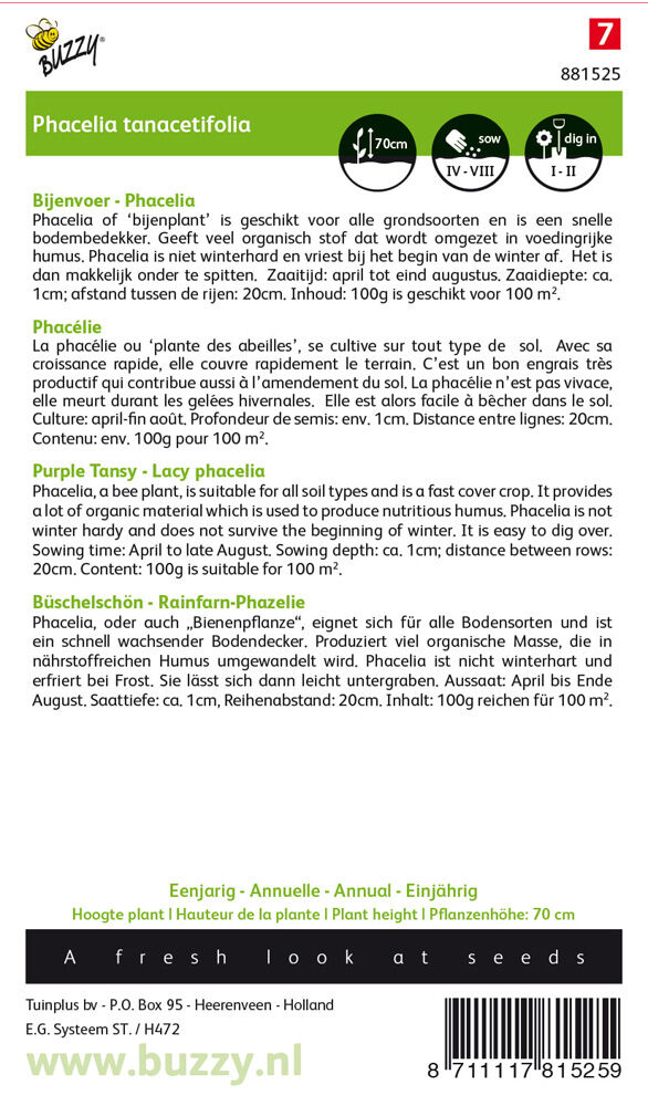 Buzzy Bijenplant Phacelia - Groenbemester