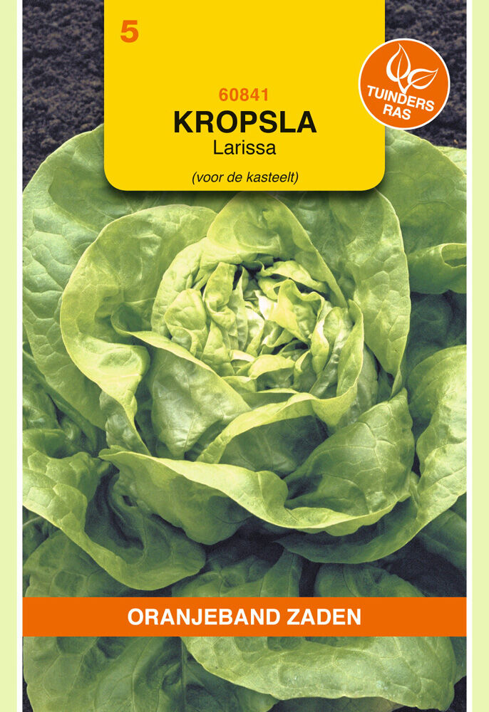 Oranjeband zaden Kropsla Larissa - Groentezaden