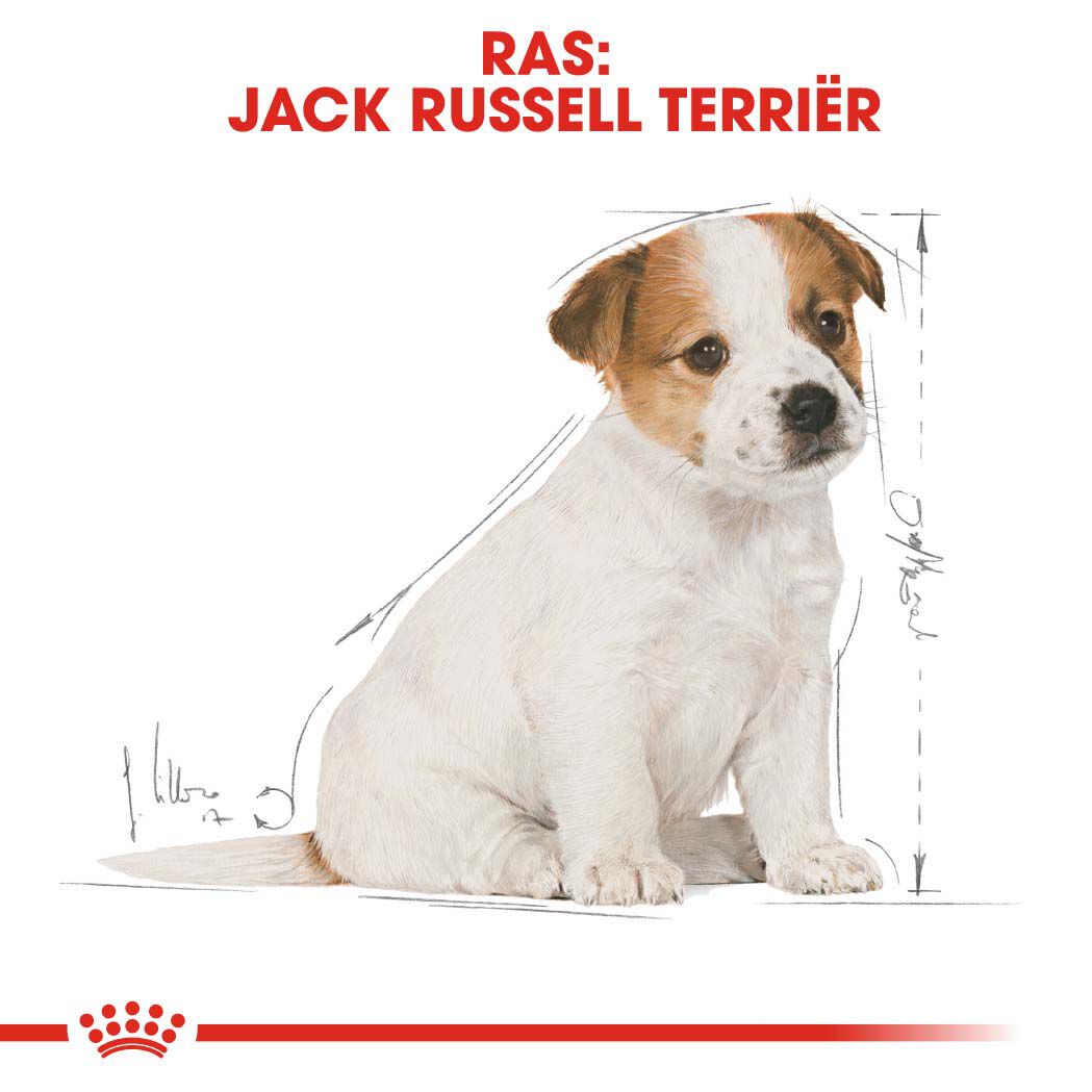 Royal Canin Jack Russell Terrier Junior - Hondenvoer - 1.5 Kilogram - gevogelte