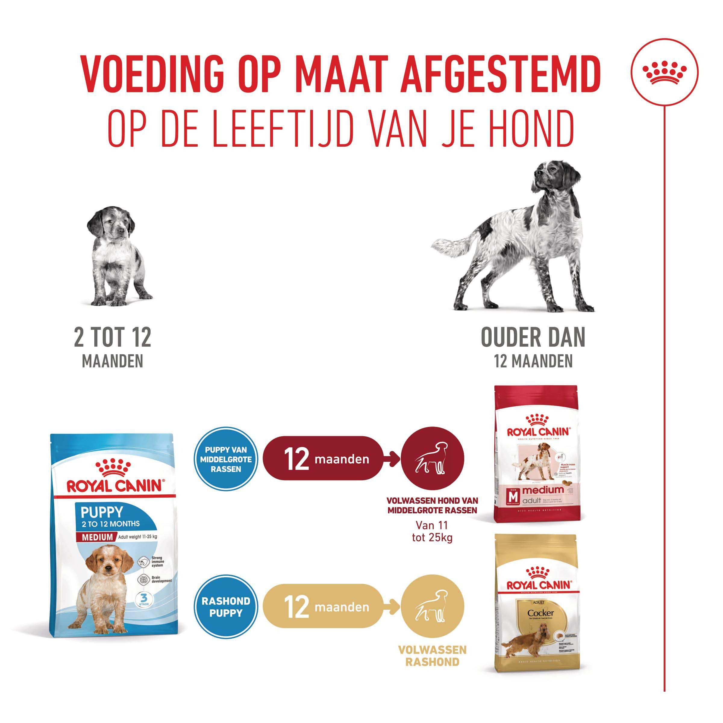 Royal Canin SHN Medium Puppy - Hondenvoer - 3 Kilogram - gevogelte