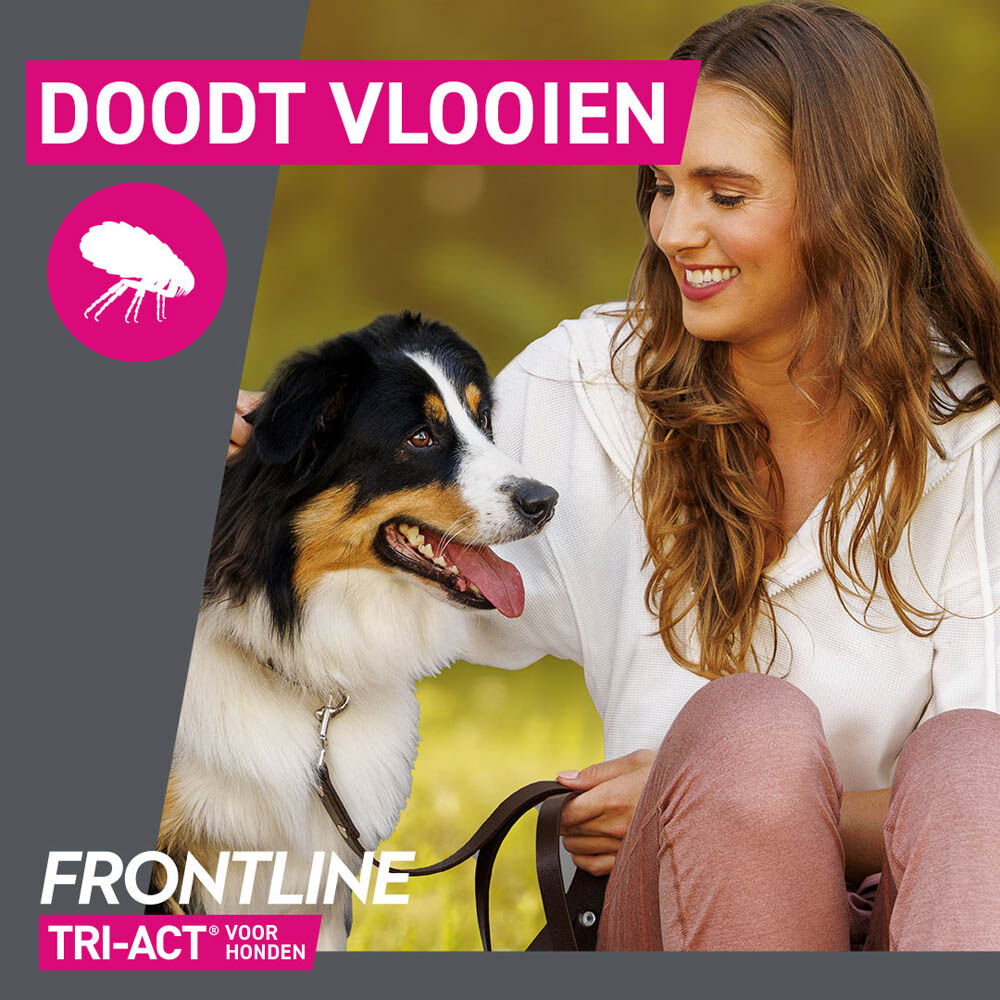 Frontline Tri-Act M - Teken en vlooienpipet - 3 pipetten - 3 Stuks - M