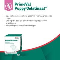 Primeval Gelatinaat Puppy - Voedingssupplement - 350 Gram
