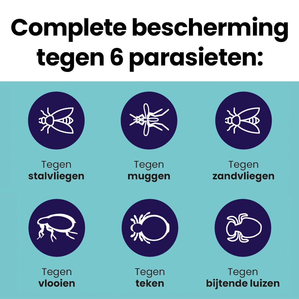 Refordog Spot - On - Pipetten - Anti vlooien en teken Hond - 3 pipetten - 3 Stuks