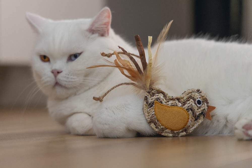 Beeztees Vogel Flity - Kattenspeeltje - Beige