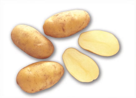 Nicola - Pootaardappelen - 1 Kilogram - Vastkokend Nicola - Pootaardappelen - 1 Kilogram - Vastkokend