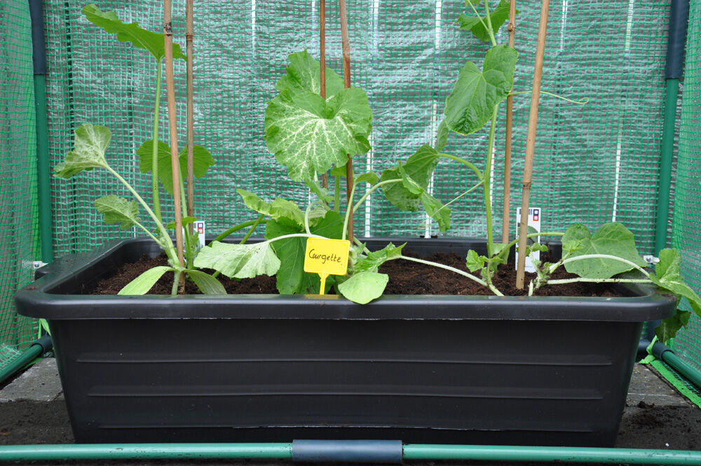 Royal Well Zaaikist 40L  - Kas accessoires