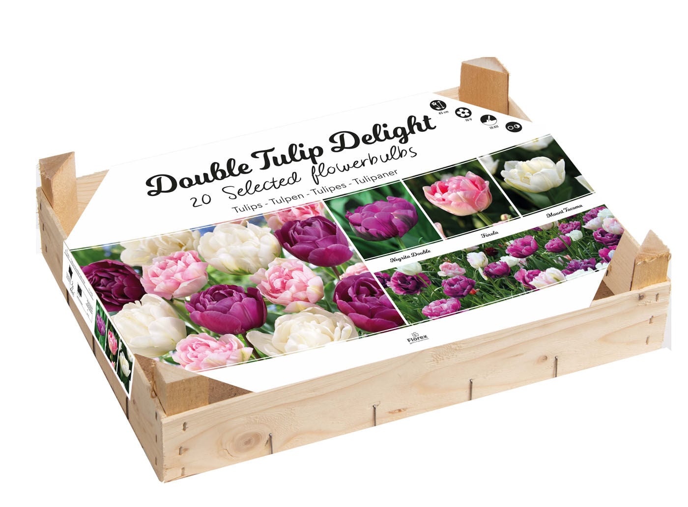 Florex Tulpen Bloembollen mix - in Kistje