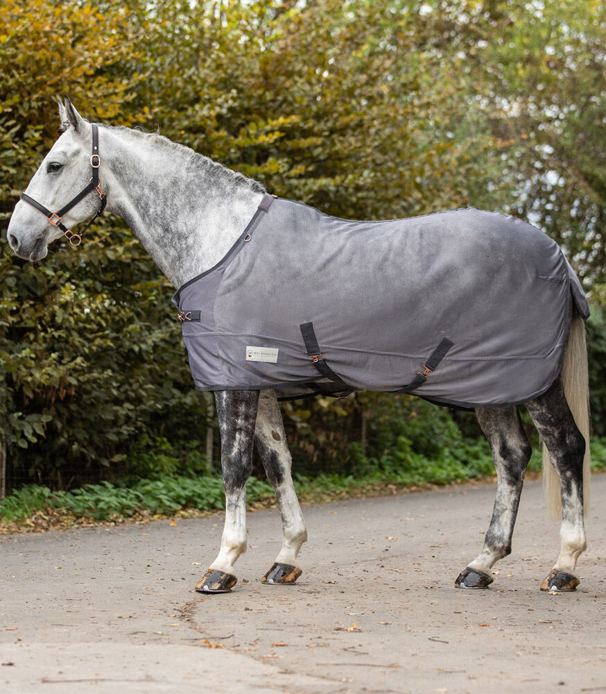 Waldhausen Comfort - Vliegendeken - Paardendeken - Grijs - 125/175 Waldhausen Comfort - Vliegendeken - Paardendeken - Grijs - 125/175