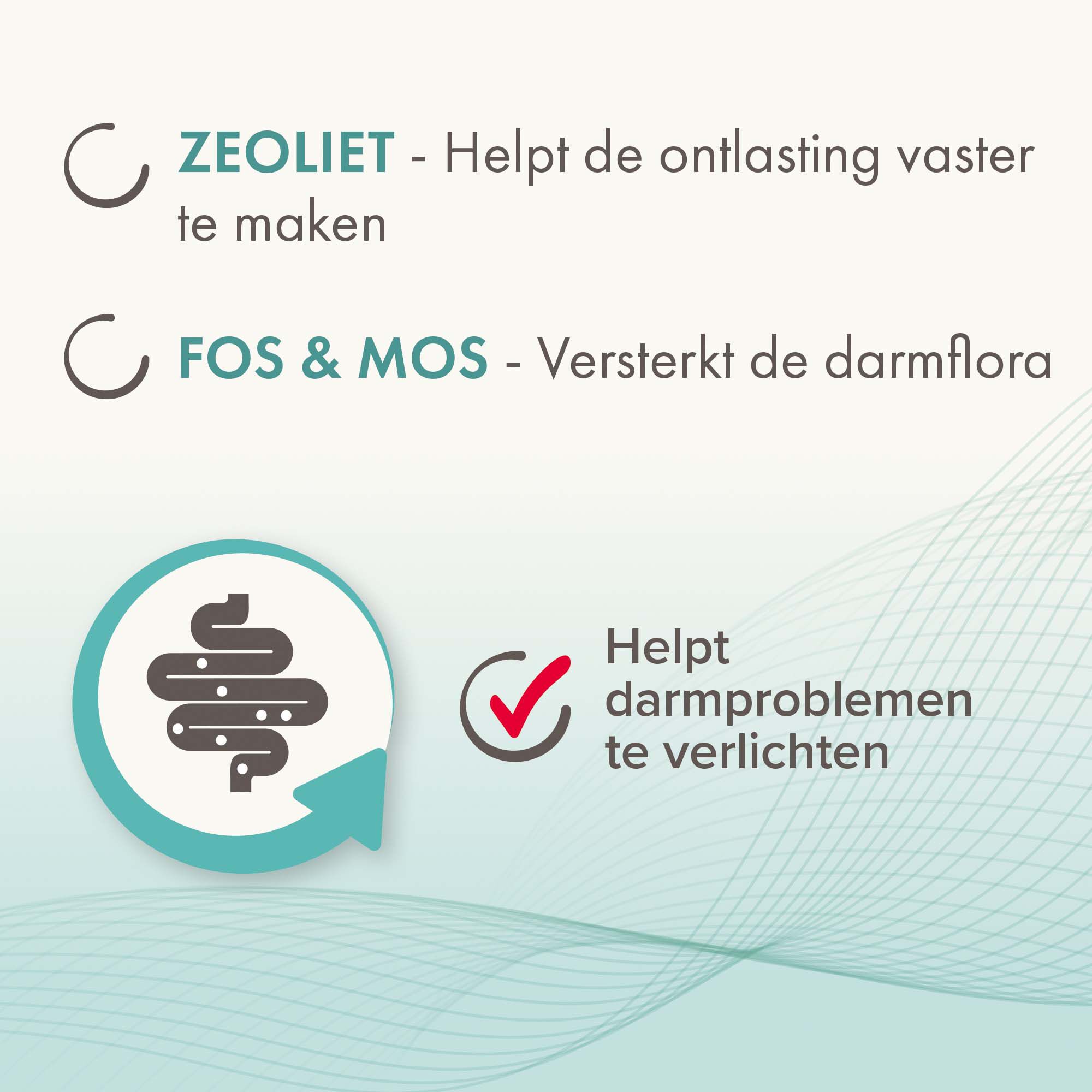 Beaphar IntestoPro Kat - Hond tot 20kg - Verlicht darmproblemen - 20 Stuks - S