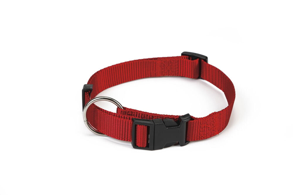 Beeztees - Halsband Hond - rood - 30 tot 45 cm Beeztees - Halsband Hond - rood - 30 tot 45 cm