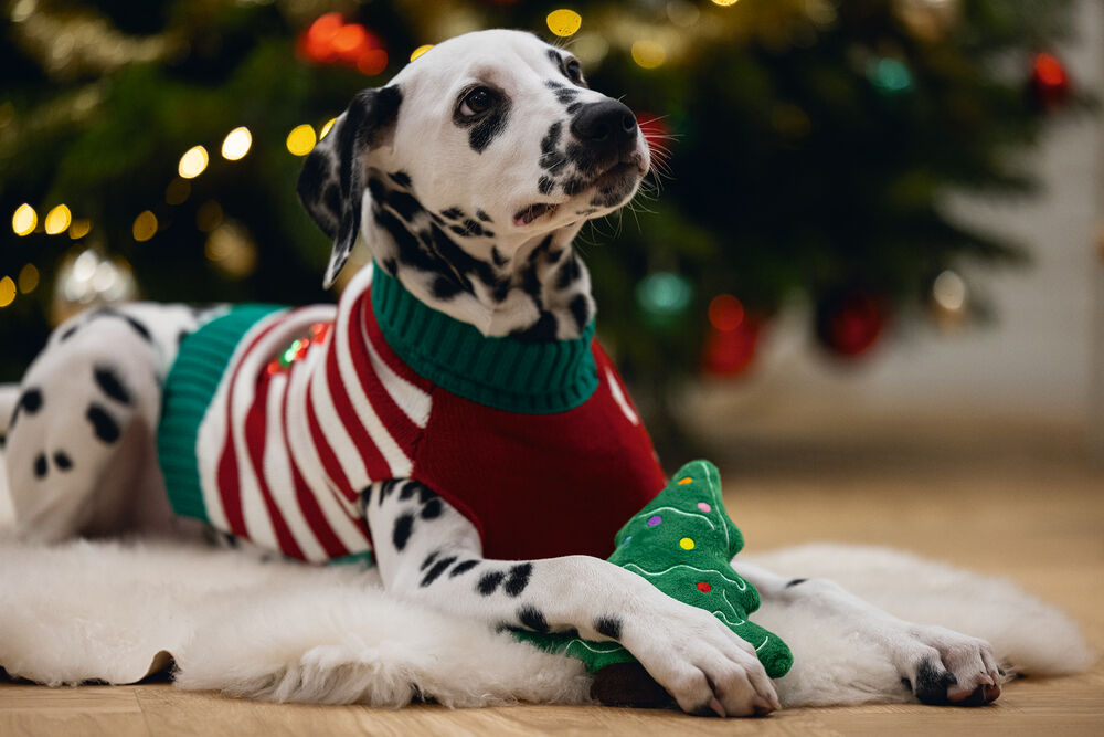 Beeztees Kerstboom - HondenspeeD323:D336lgoed - Groen