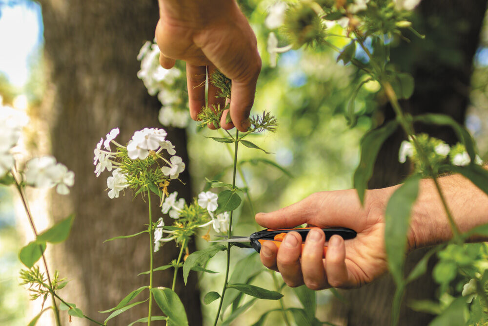 Fiskars Solid Snip SP13 Kruiden - Snoeischaar