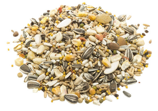 Welkoop Papegaaivoer Compleet - Vogelvoer - 750 Gram