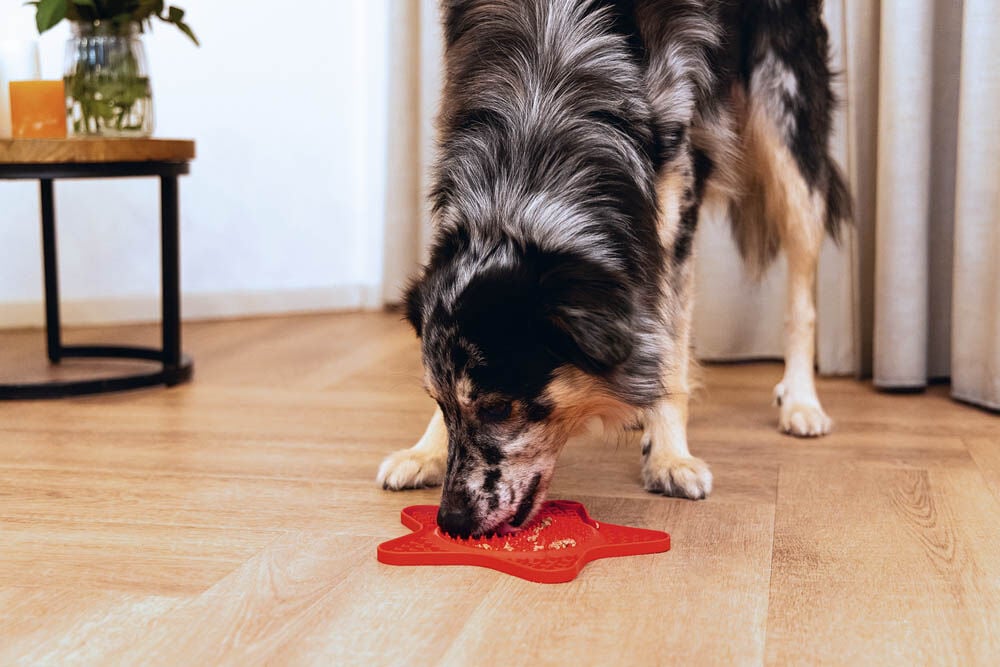 Beeztees Ster - Likmat