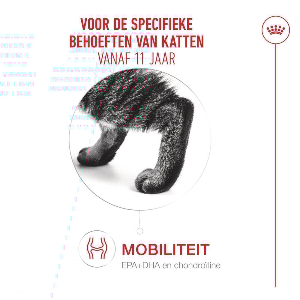 Royal Canin Ageing 11+ - Kattenvoer - 12 Stuks