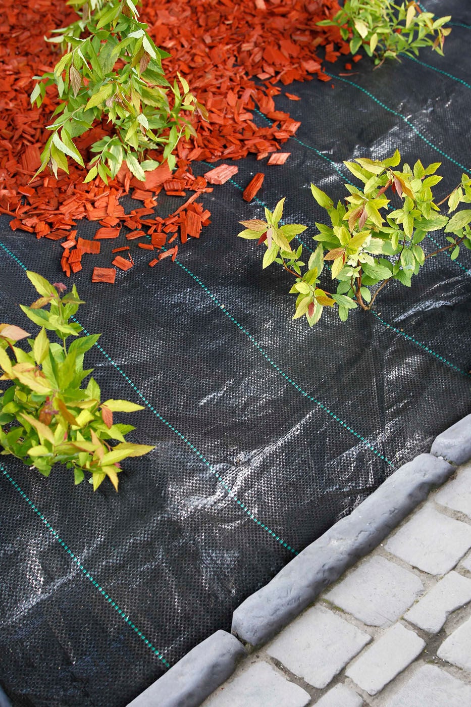 Nature - Gronddoek - 200x500 cm Nature - Gronddoek - 200x500 cm