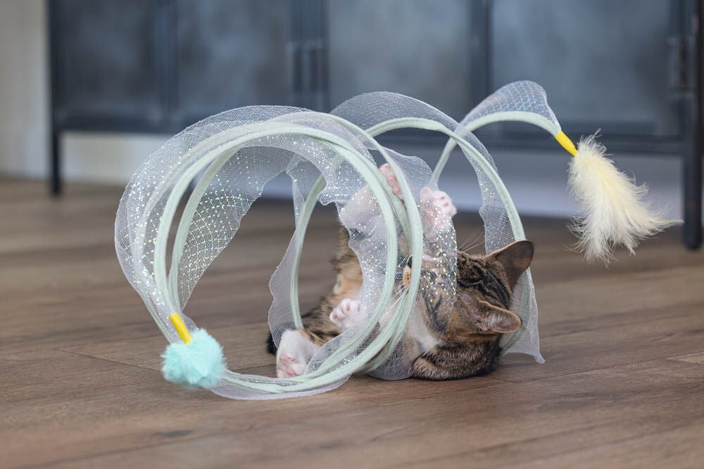 Beeztees Gabi - Katten Speelspiraal - Multi