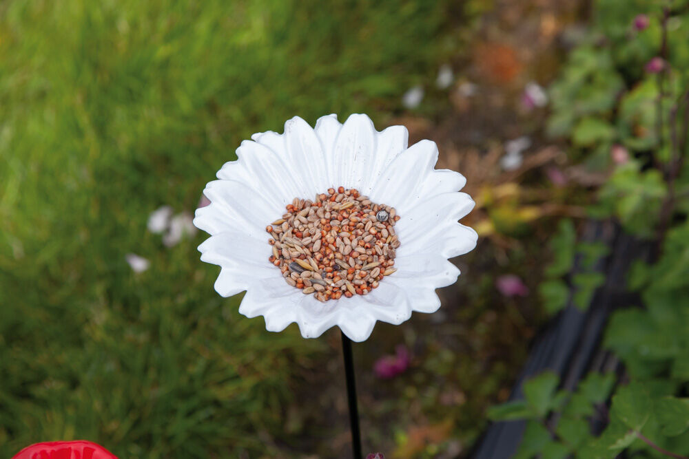 Bird Gift Margriet -Voederschaal op steker