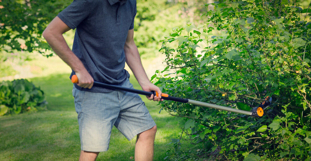 Fiskars UPX82  - Snoei-giraffe - Reikwijdte ca. 3,5 Meter