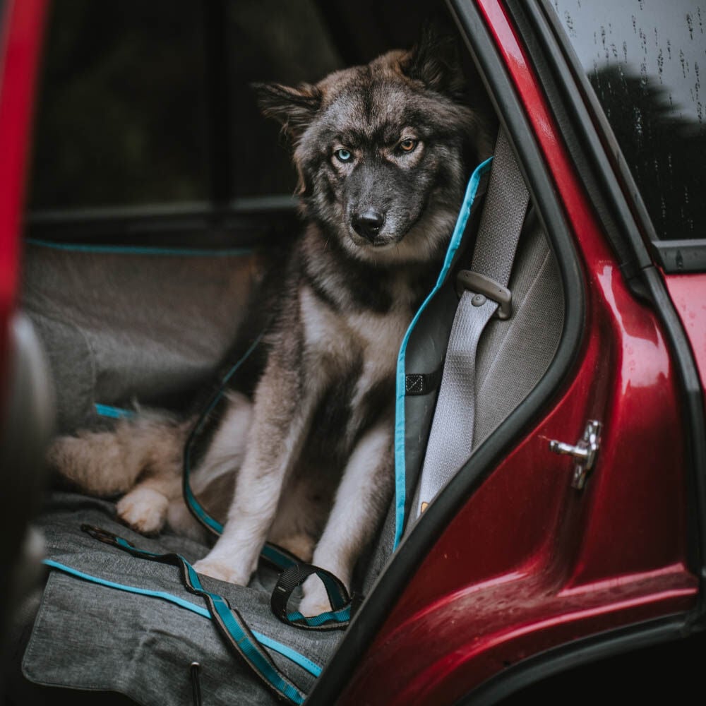 Kurgo Heather Half Hammock Achterbank - Beschermhoes