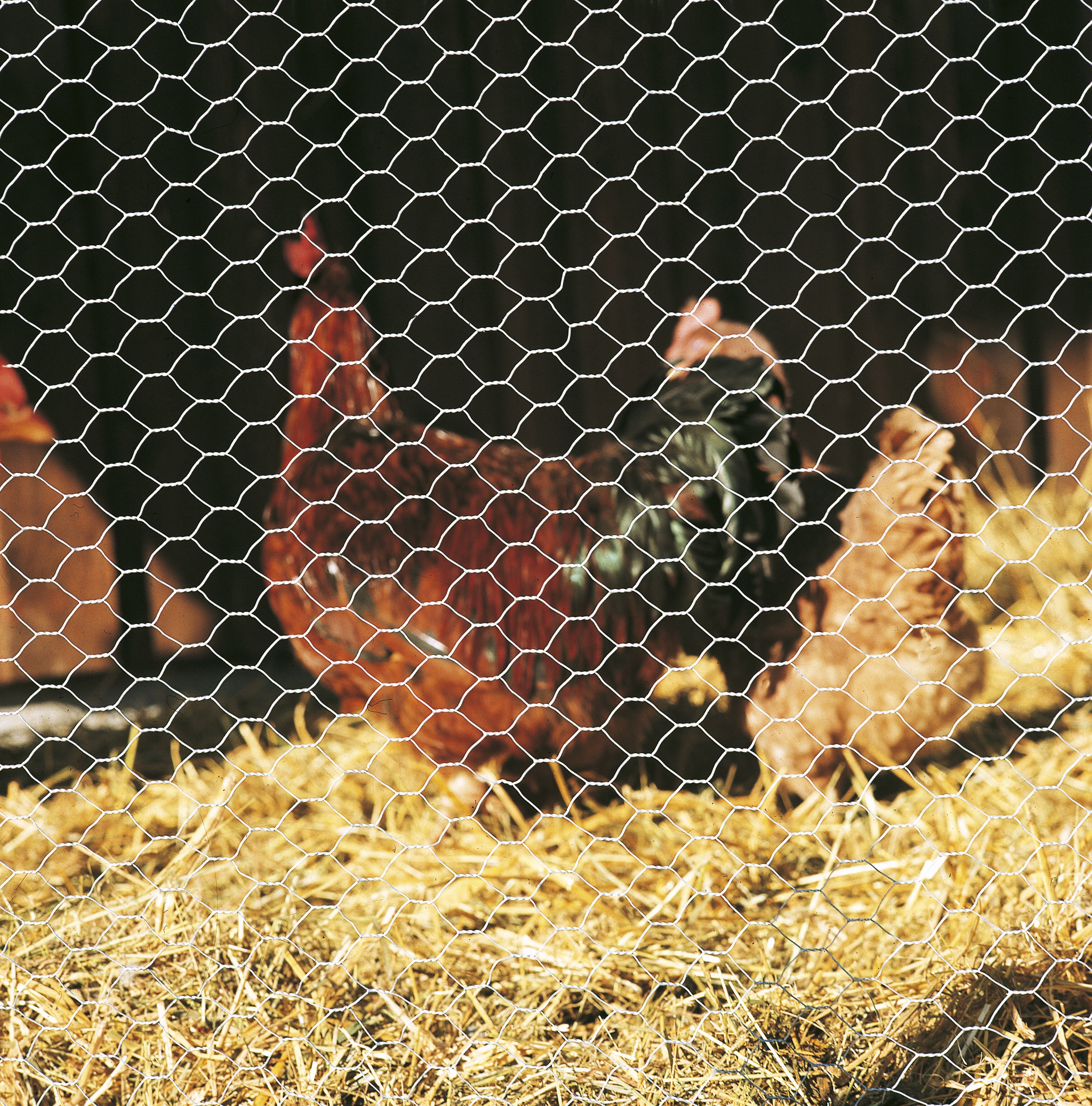 Betafence - Hexanet Trigalv - Zeskantig vlechtwerk gaas - Verzinkt - 50 cm - 53x2.5x20 cm - 500 cm