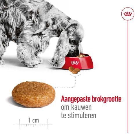 Royal Canin Medium Adult - Hondenvoer - 12 Kilogram - gevogelte