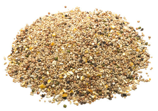 Welkoop Tortelduivenvoer - 5 Kilogram