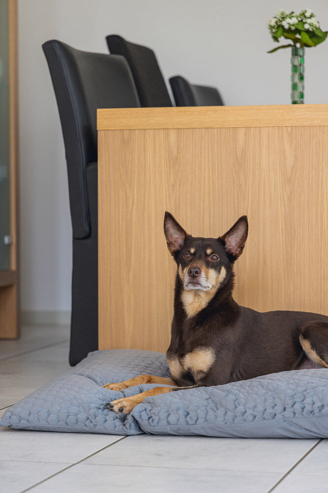 Karlie Velvet - Hondenkussen - Donkergrijs - 15x70x100 cm - Groot