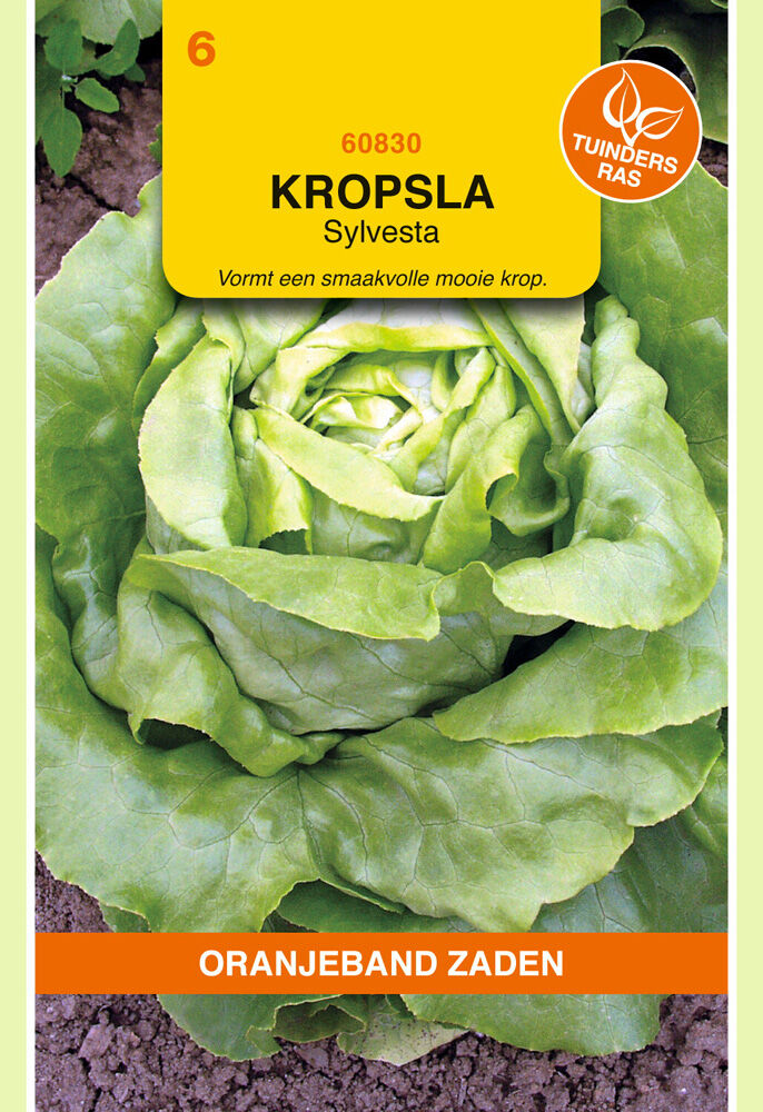 Oranjeband zaden Kropsla Sylvesta - Groentezaden